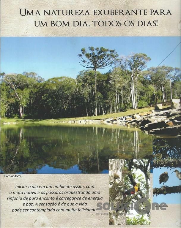 Terreno em Canela