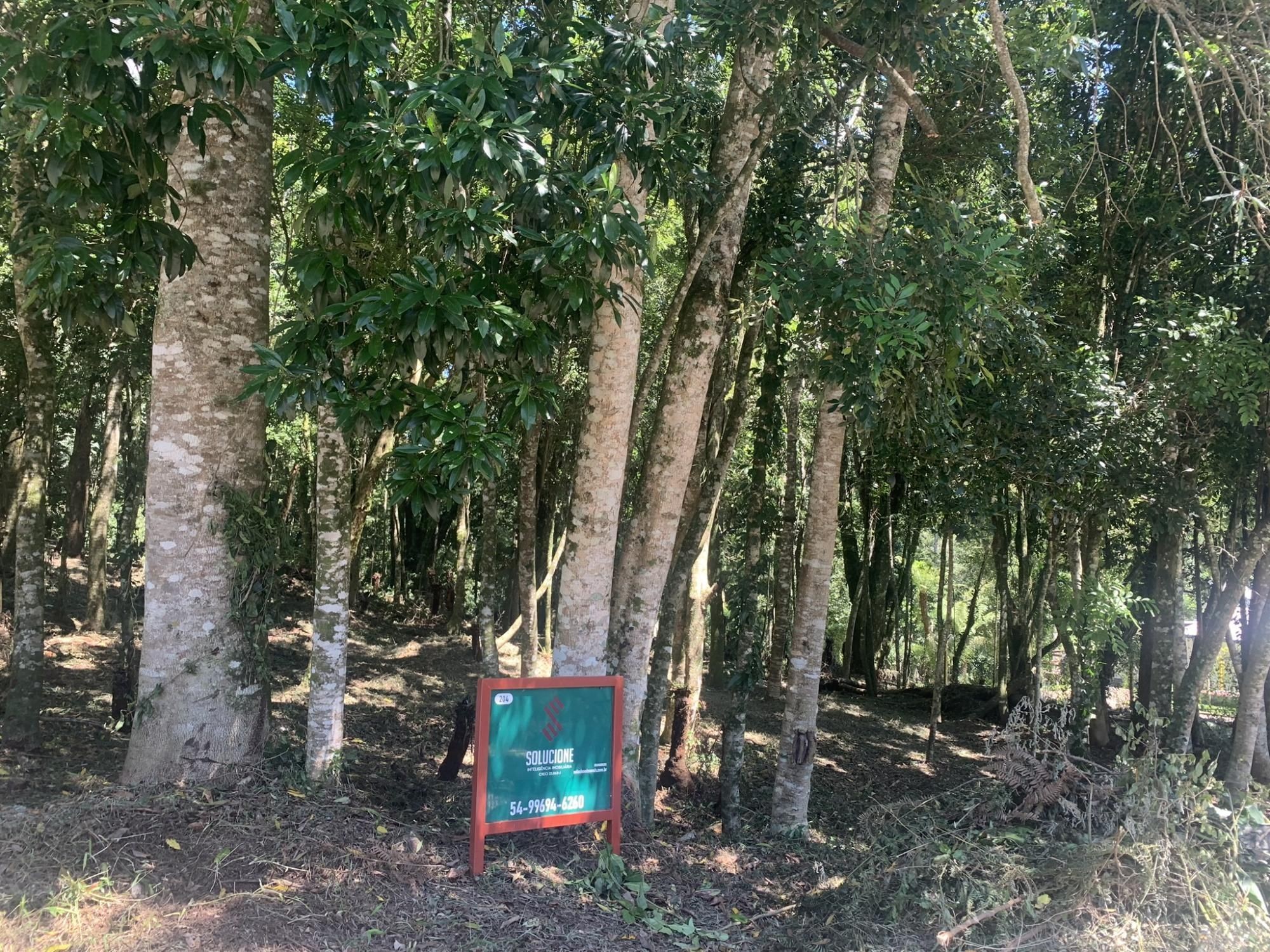 Terreno em Gramado