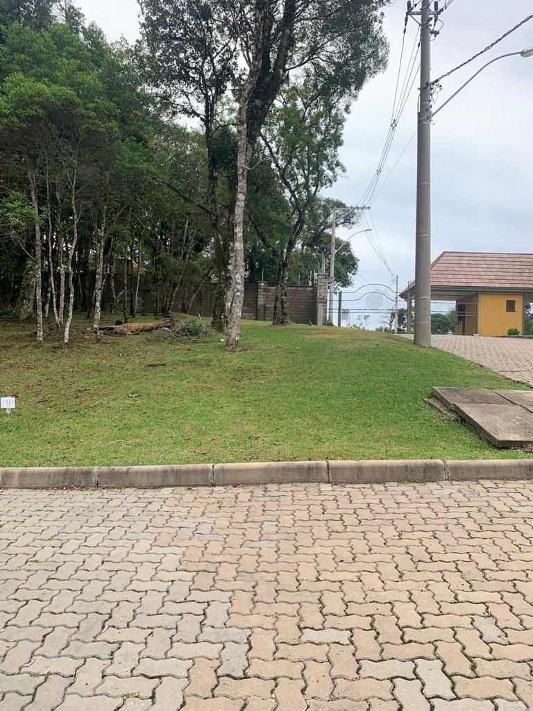 Terreno em Canela