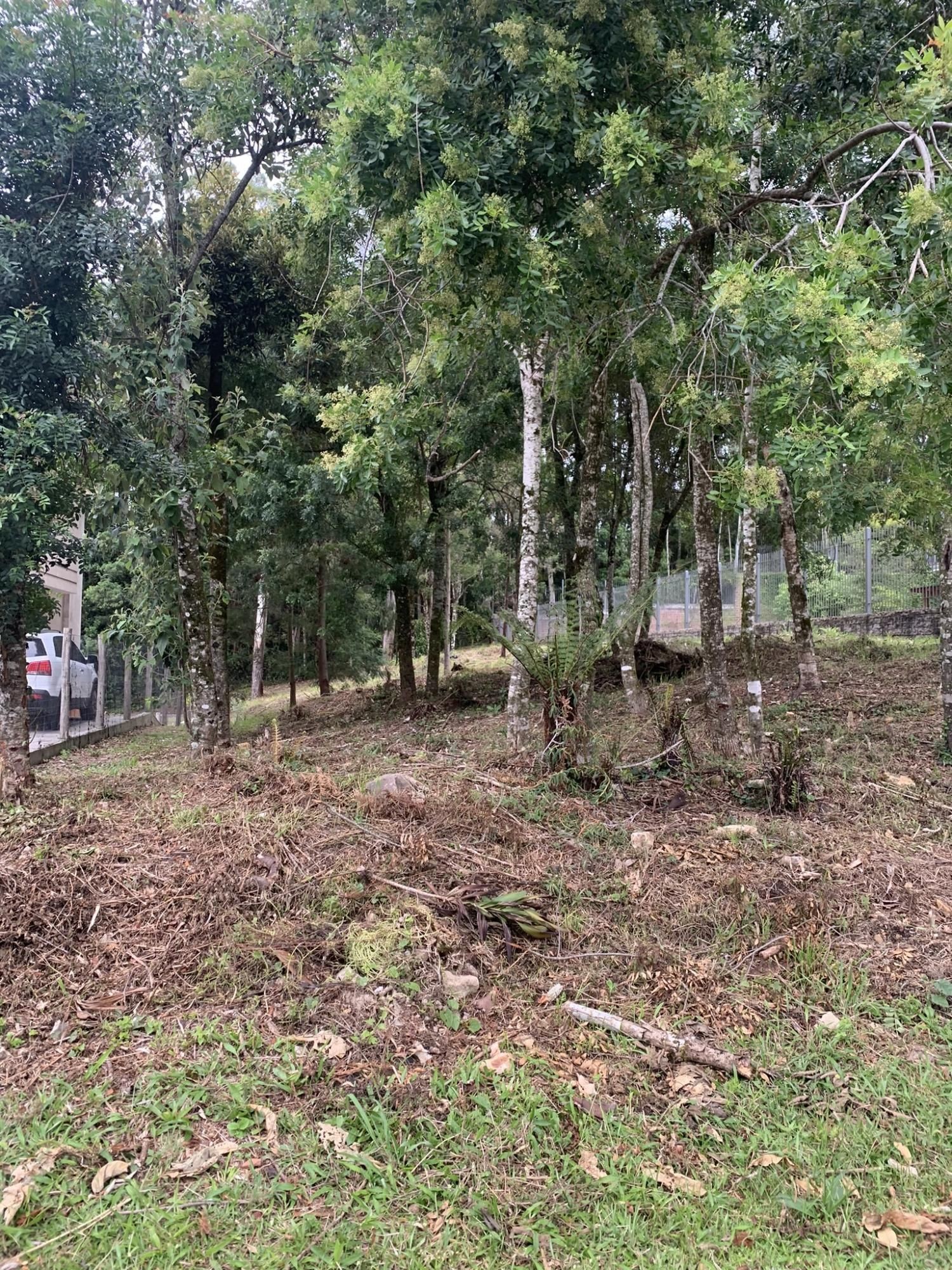 Terreno em Gramado
