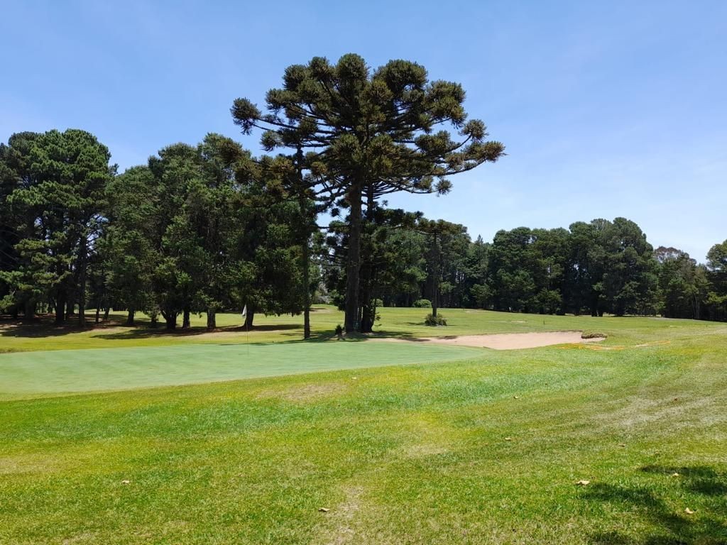 Terreno em Gramado