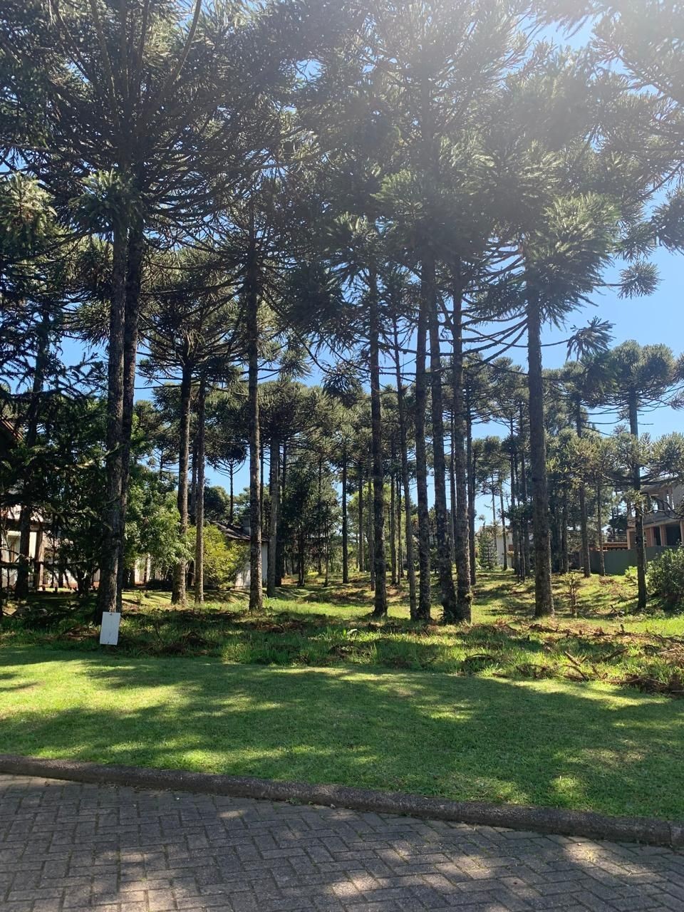 Terreno em Gramado