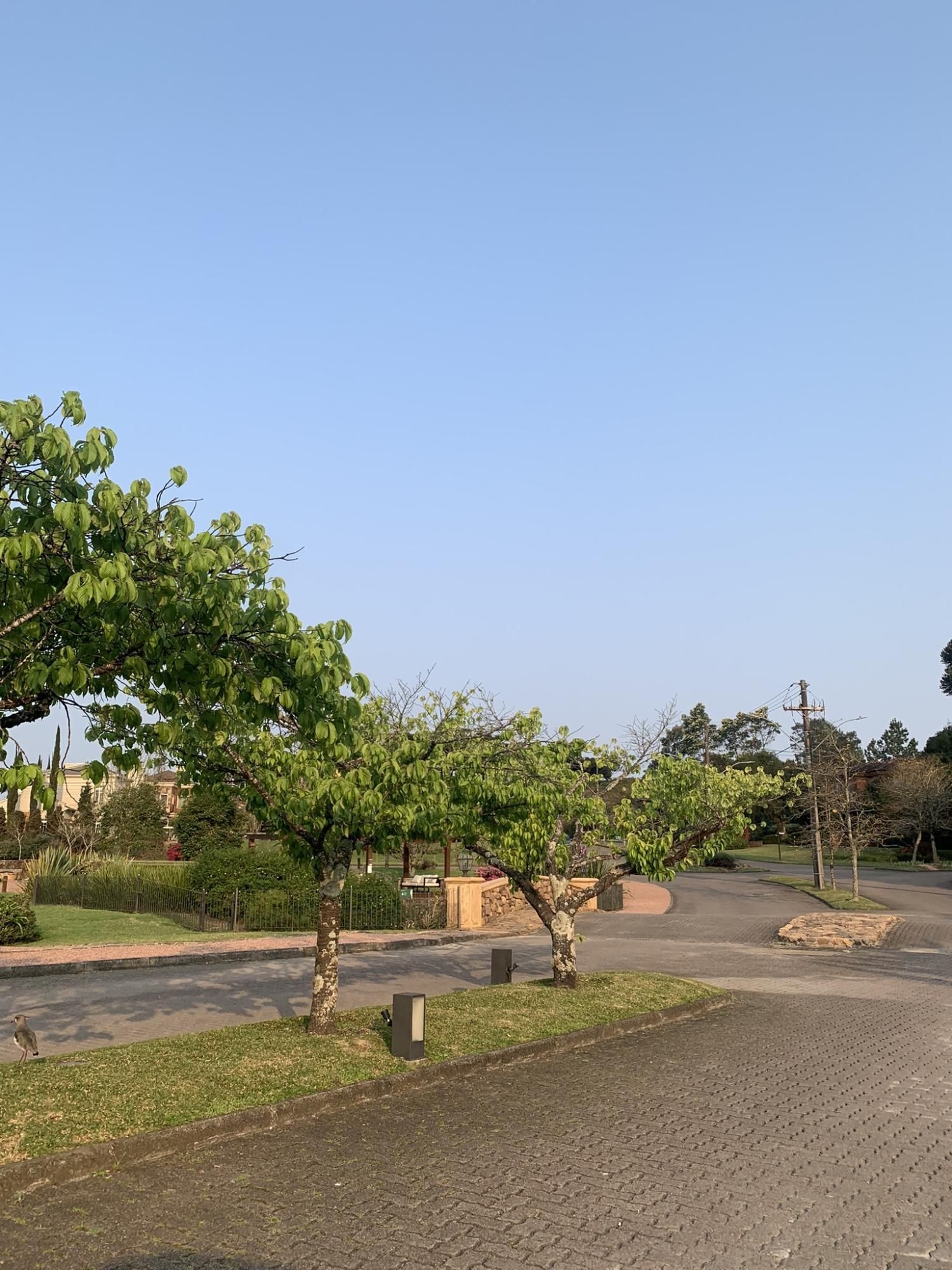 Terreno em Canela