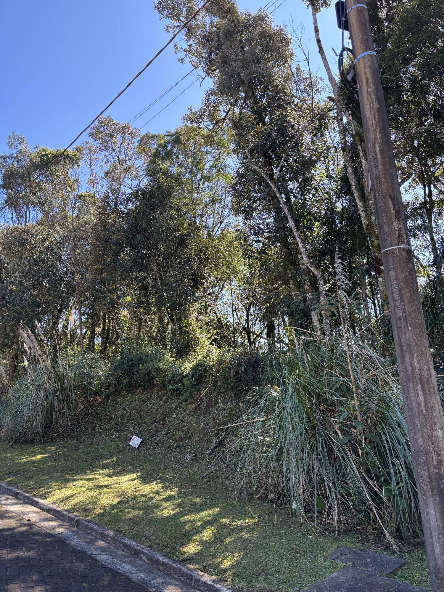 Terreno em Gramado