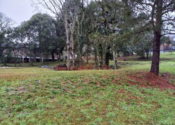 Terreno, no bairro Carniel em Gramado
