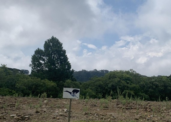 Terreno em Gramado