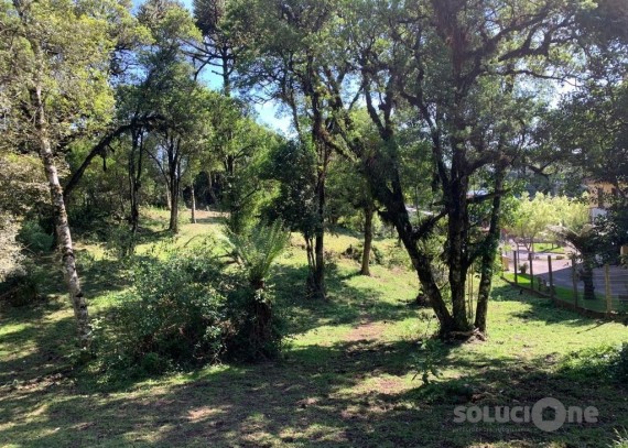Terreno, no bairro Vila Maggi em Canela