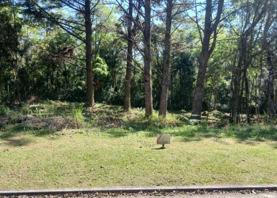 Terreno em Gramado