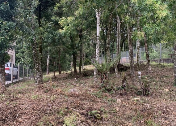 Terreno, no bairro Vale das Colinas em Gramado