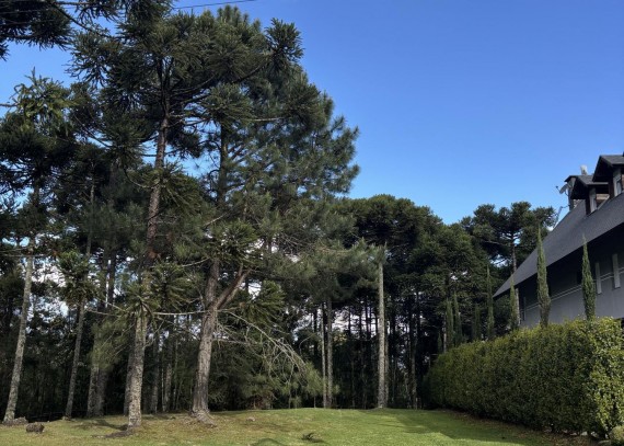 Terreno, no bairro Aspen Mountain em Gramado