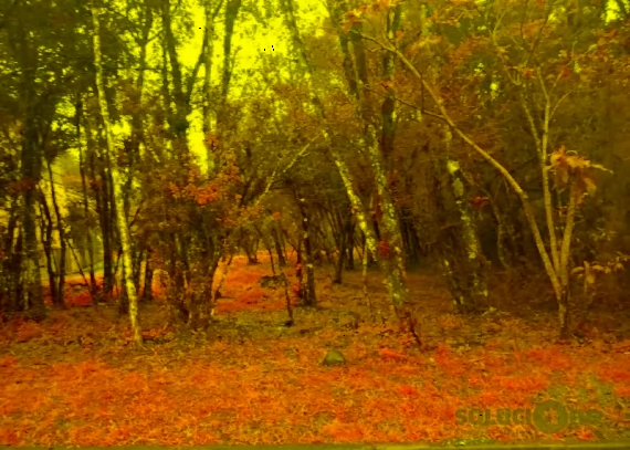 Terreno, no bairro Carniel em Gramado