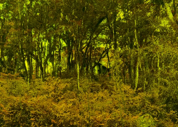 Terreno, no bairro Suzana em Canela