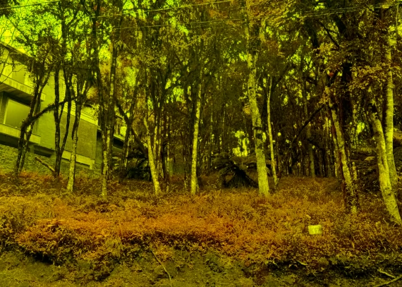 Terreno, no bairro Suzana em Canela