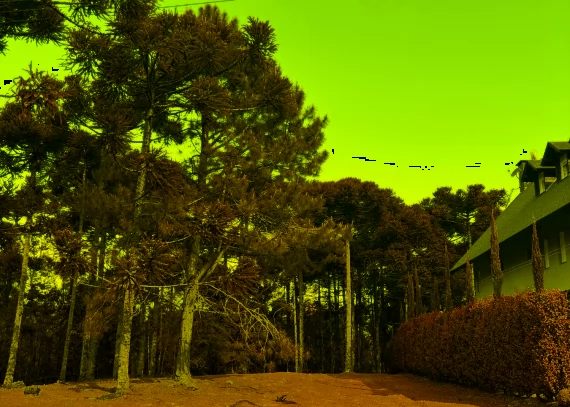 Terreno, no bairro Aspen Mountain em Gramado