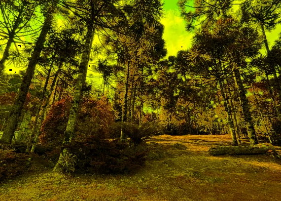 Terreno, no bairro Aspen Mountain em Gramado