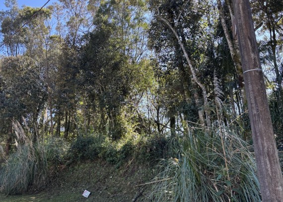Terreno em Gramado