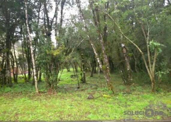 Terreno, no bairro Carniel em Gramado