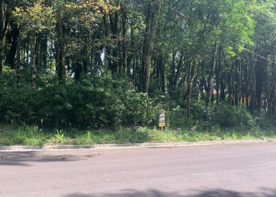 Terreno, no bairro Floresta em Gramado