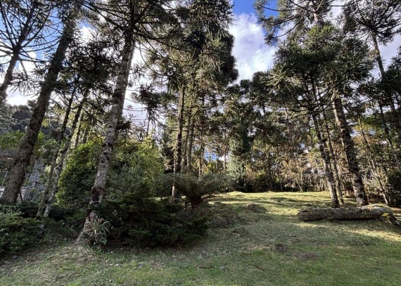 Terreno, no bairro Aspen Mountain em Gramado